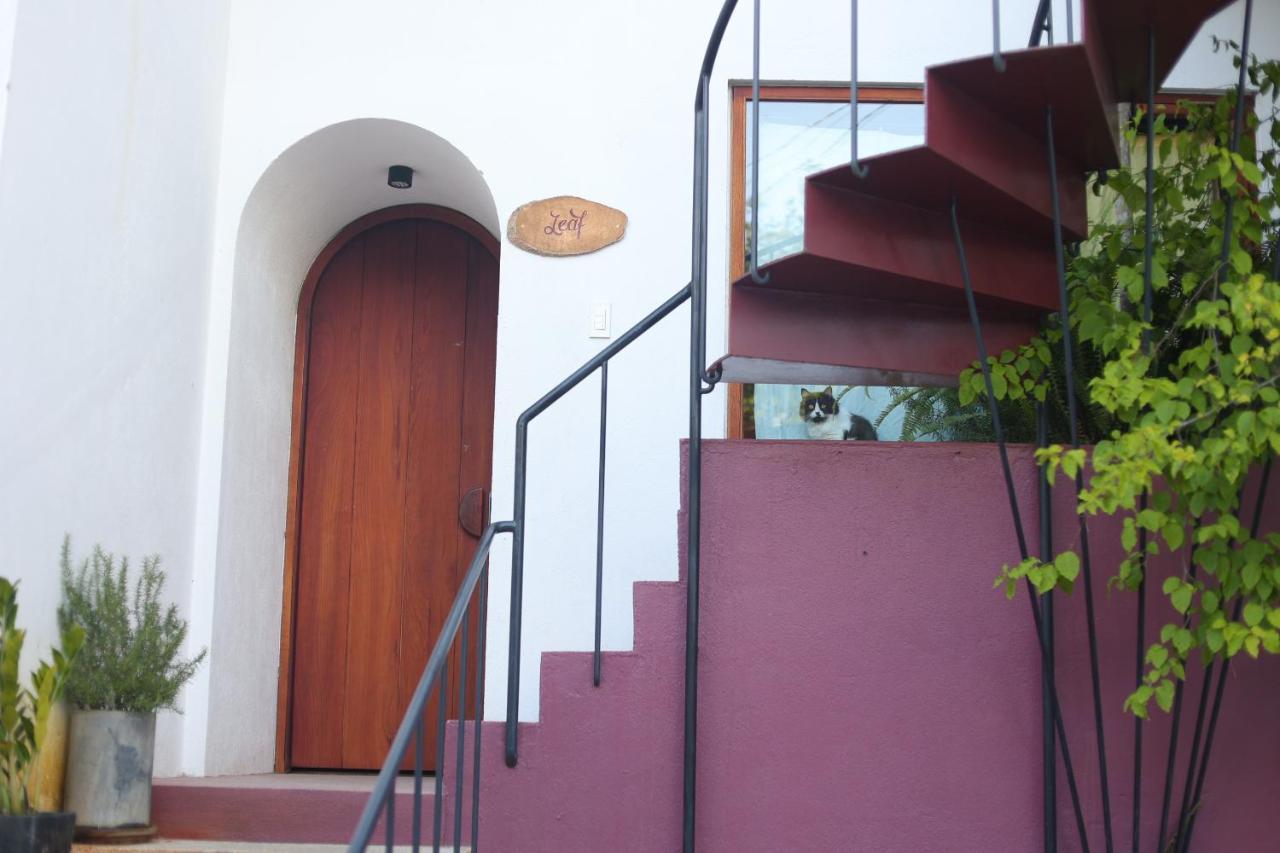 Cherry Suites Dalat Экстерьер фото
